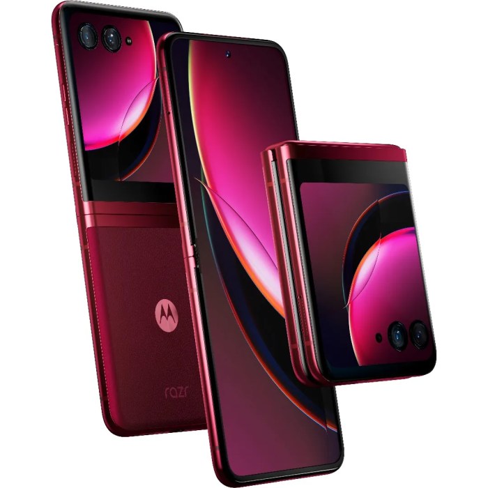 Edelweiss 🏵️ | IM DEAAAADDDDDDDDD @official510music @510squadofficial ... Motorola Razr+ 2025